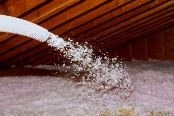 Types of Insulation We Offer in Fredericksburg, VA