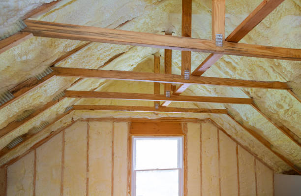 Best Cellulose Insulation in Fredericksburg, VA
