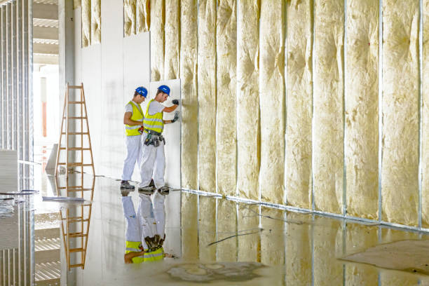 Best Eco-Friendly Insulation in Fredericksburg, VA